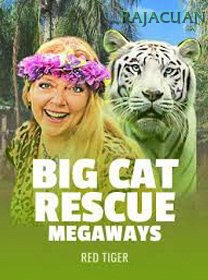 Big Cat Rescue Megaways icon