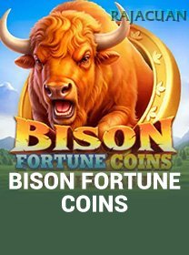Bison Fortune Coins game cover
